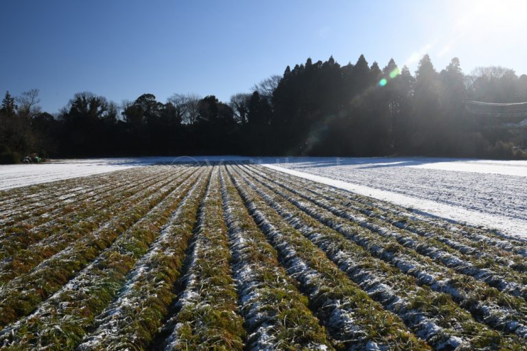 One Japanese farm scene with thin snowing, Yuji Ikeda Photo